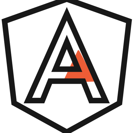 best custom angularjs development company