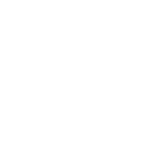 hire dedicated vuejs programmers