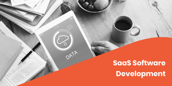 saas software application development