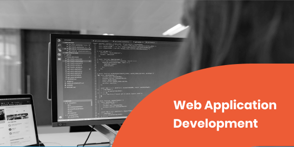 web application development